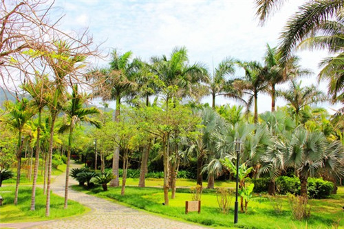 晴天见奶茶