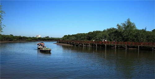 焖知味海鲜焖面