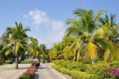 佛山市微水洗车