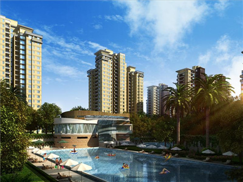 司机安全驾驶仪