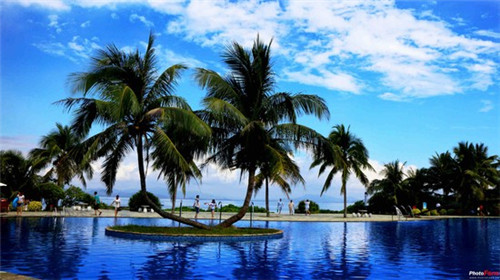 加盟椰子里饮品会亏本吗，果汁加盟哪个公司好