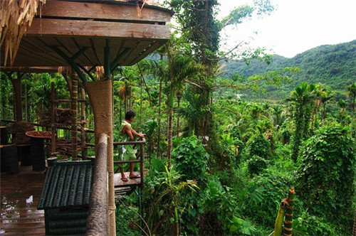 孙悟空炒饭加盟人气高不高，比较火爆的中式快餐加盟品牌是哪个