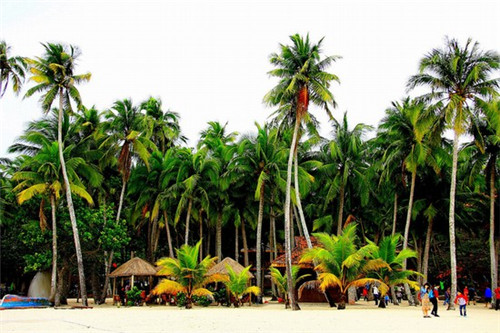 2025卤肉饭行业还有市场吗，东东记卤肉饭加盟店热线是多少