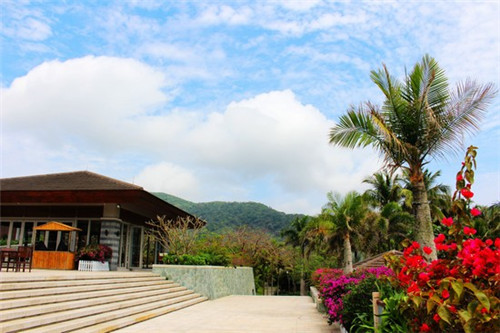 抖音电商打败抖音公司是真的吗（抖音电商是谁）