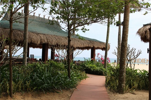 张晓磊最火文章（张晓磊是什么人）