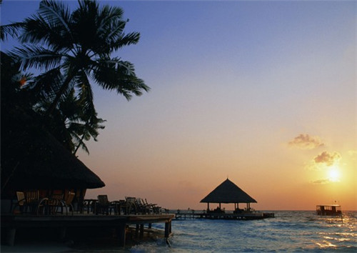 唱霏霏什是什么歌（菲菲歌词是什么意思）