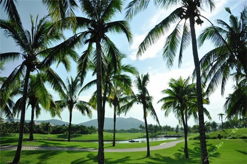 千景取名寓意是什么（景作为名字的寓意）