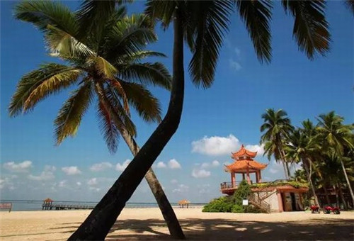 梦到房子着火佛像还在是什么意思（梦见房子火灾后的样子）